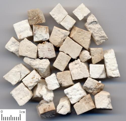 茯苓和土茯苓的区别