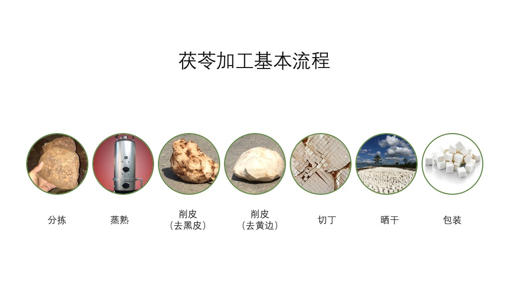 茯苓加工宗旨