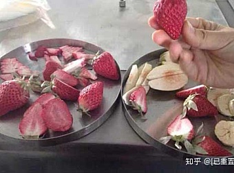 冻干草莓脆一次需要多少成本